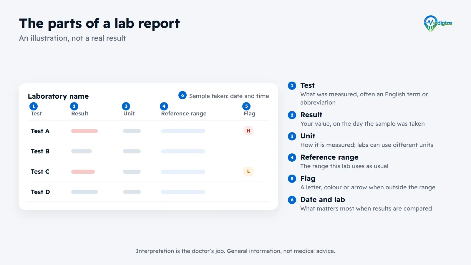 An illustrative lab report with its parts labelled: the test name, your result, the unit, the lab’s reference range, the flag shown when a result falls outside the range, and the date the sample was taken.